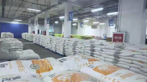 从产地到餐桌 科尔沁区餐饮管理新模式